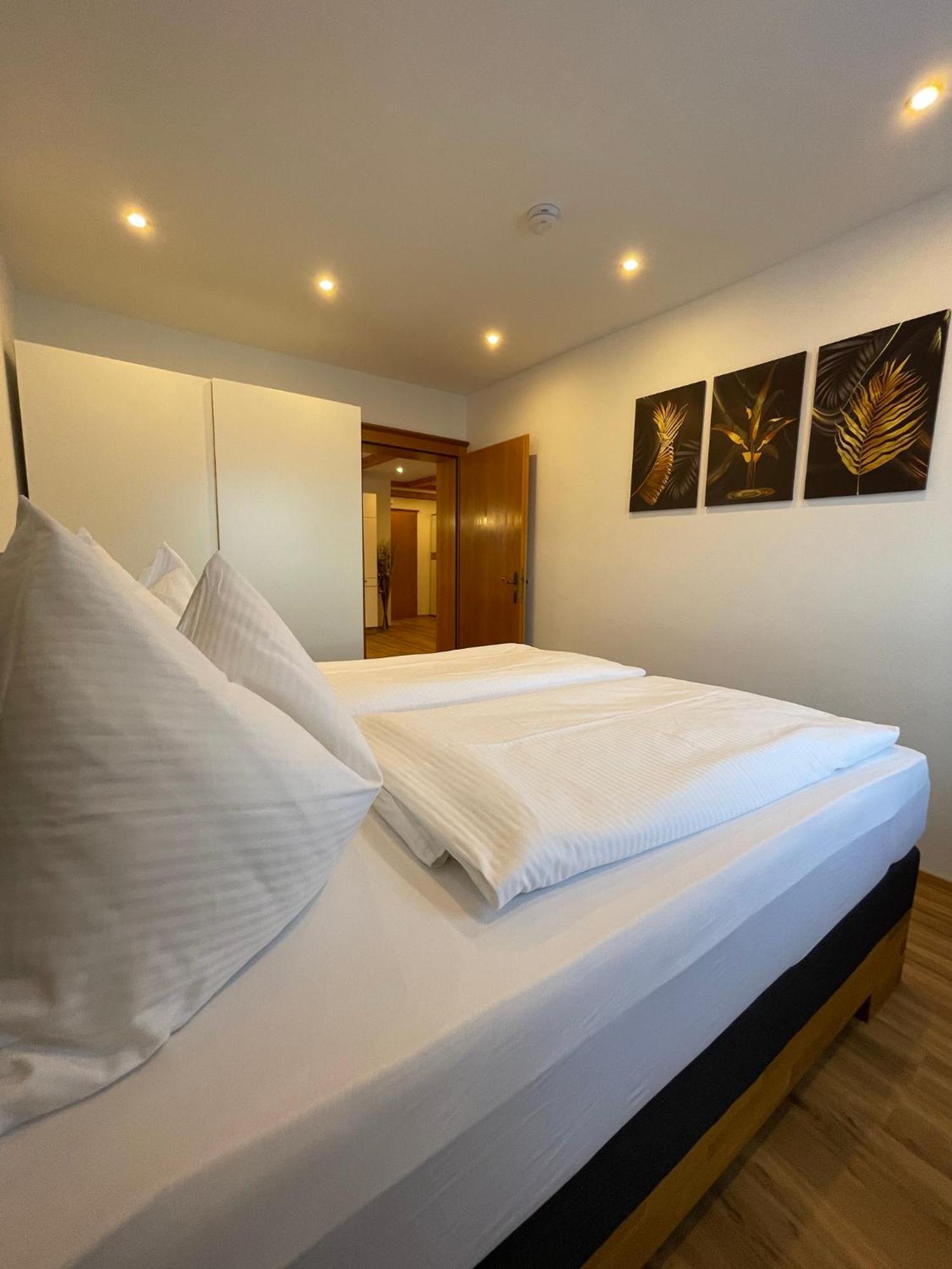 Appartement Krahlehen Filzmoos Ngoại thất bức ảnh